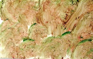 Carte Colorate Dora (7)